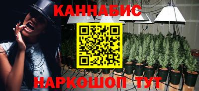 МДПВ Будённовск