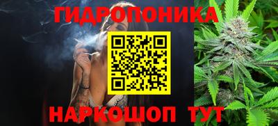 МДПВ Будённовск